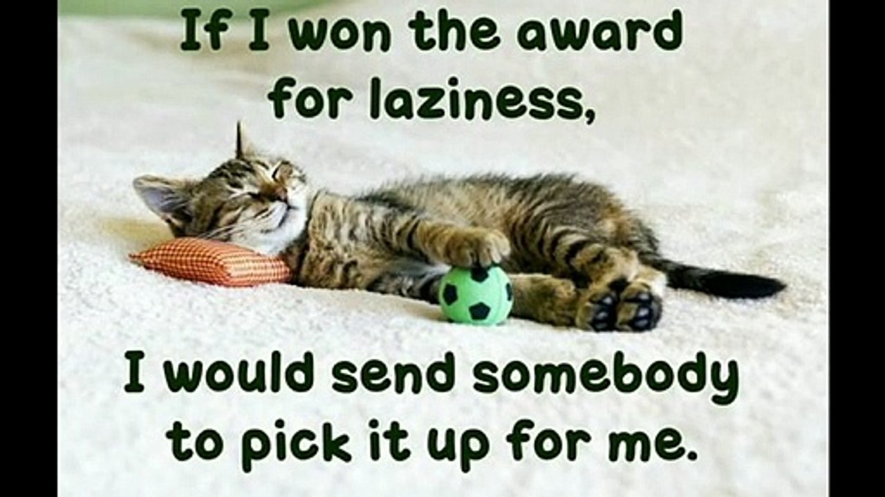 Lazy memes|Top laziness.