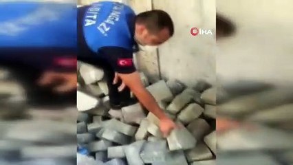 Kaldırım taşlarının arasında sıkışan kedinin yardımına belediye ekipleri koştu