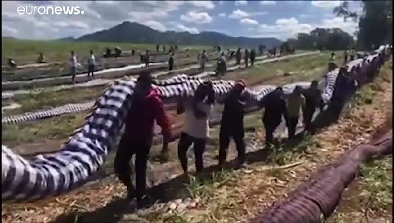 Une marée noire menace l'île Maurice, des habitants se mobilisent