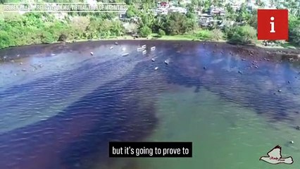 Mauritius oil spill: emergency declared as leaking tanker threatens natural habitat