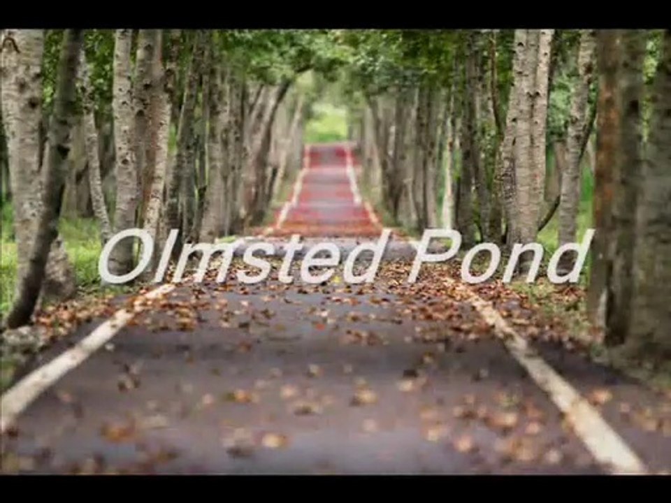 Olmsted Pond