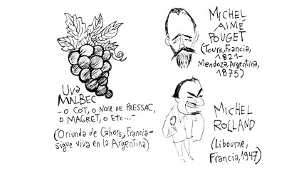 El malbec argentino y Rolland