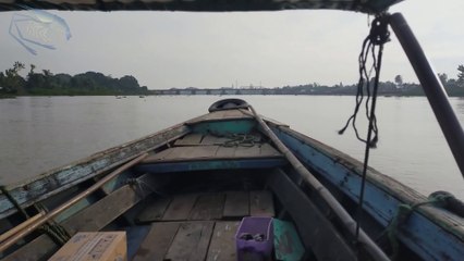 Pesta Strike Mancing Udang Galah Di kota Palembang