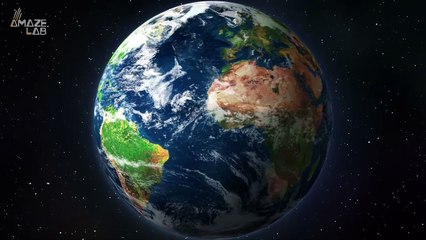 Marine Animals May Escape Ocean Heat by Swimming Thousands of Kilometers