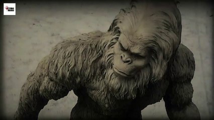 El Yeti Las Verdadera Leyenda Historia o Mito