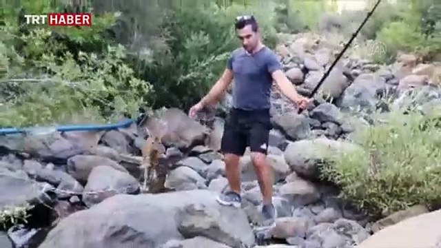 Dağda rastladığı karaca ile kurduğu dostluk takdir topladı