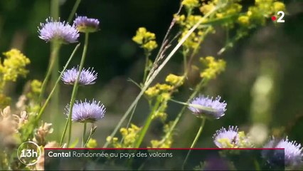 Cantal : randonnée au pays des volcans