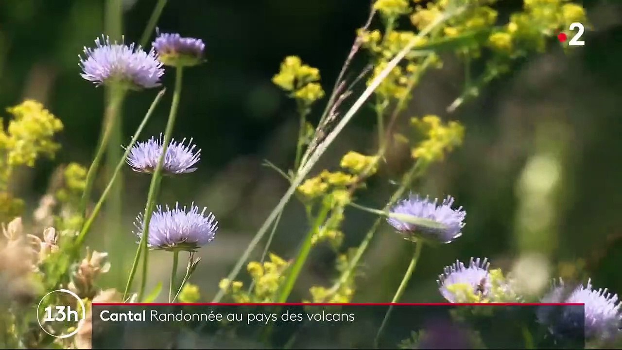Cantal : randonnée au pays des volcans
