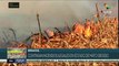 Ambientalistas rechazan incendios ilegales en Brasil