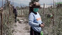 Erupção de vulcão na Indonésia cobre região de cinzas