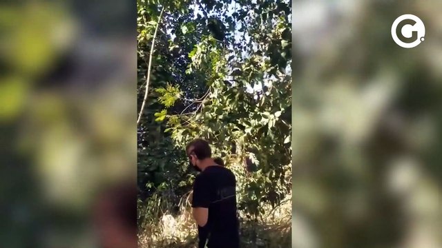 Túmulos são encontrados à beira da BR 101 SUl, em Mimoso do Sul