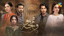 Tum Ho Wajah Episode 16 Promo HUM TV Drama