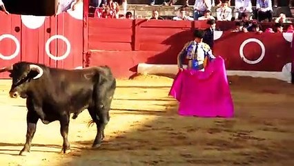 ALFONSO ALONSO SANCHEZ- 2016 SAN FERNANDO (CADIZ)