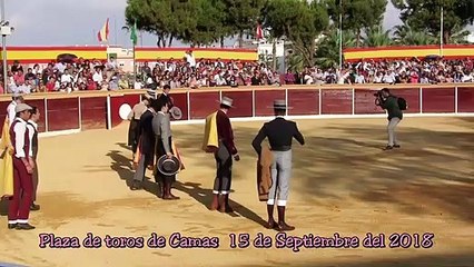 ALFONSO ALONSO NOVILLADA CAMAS 2018 -VIDEO CORTO