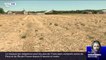 Un des sept silos de cet agriculteur du Loiret reste vide à cause de la sécheresse