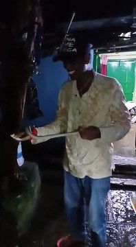 जहरीले से जहरीले सांपों को मिनटों में काबू कर लेता है यह स्नेकमैन, 5000 सांपों को कर चुका है रेस्क्यू