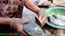Amazing Tilapia Fish Cutting Skills Village Grandma - Amazing Live Fish Cutting Skills