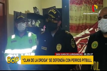 SJL: clan dedicado a la venta de droga utilizaba perros pitbull patra protegerse