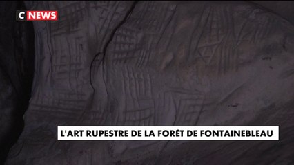 L'art rupestre de la forêt de Fontainebleau