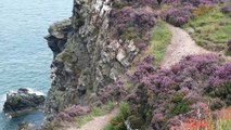 Howth Cliff Walk / Wicklow Mountains Ireland