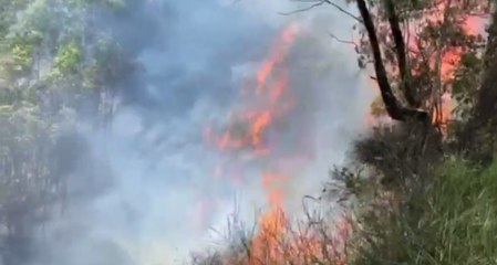 Messina - Incendio vicino Autostrada A20 in zona Salice (10.08.20)