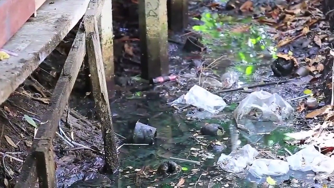 13 Trabajadores Rápidos Nivel Dios