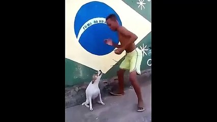 Funny Dog, Baila mejor que cualquiera