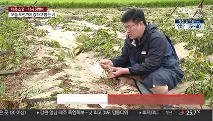 "10년 인삼농사 다 망쳐…댐방류 문제 규명해야"