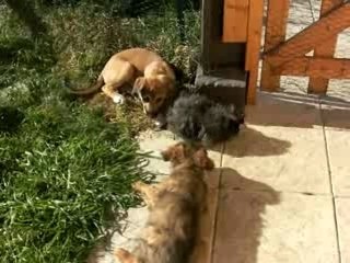 rencontre avec Guizmo 19fev08