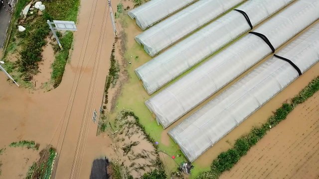 경기 안성 농가 침수 피해...산사태 위기경보 심각 발령 / YTN