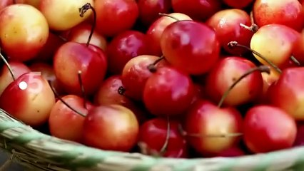 La fin du temps des cerises ?