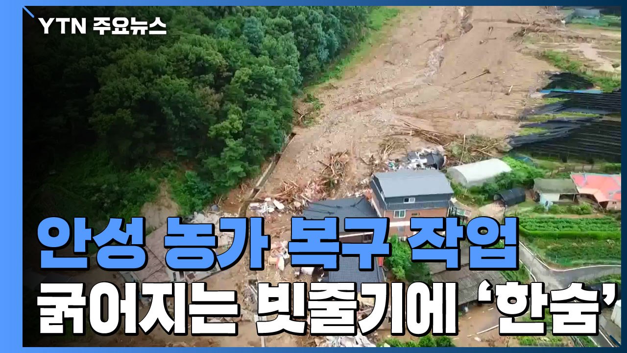 침수 피해 안성 농가 복구 작업...굵어지는 빗줄기에 '한숨' / YTN