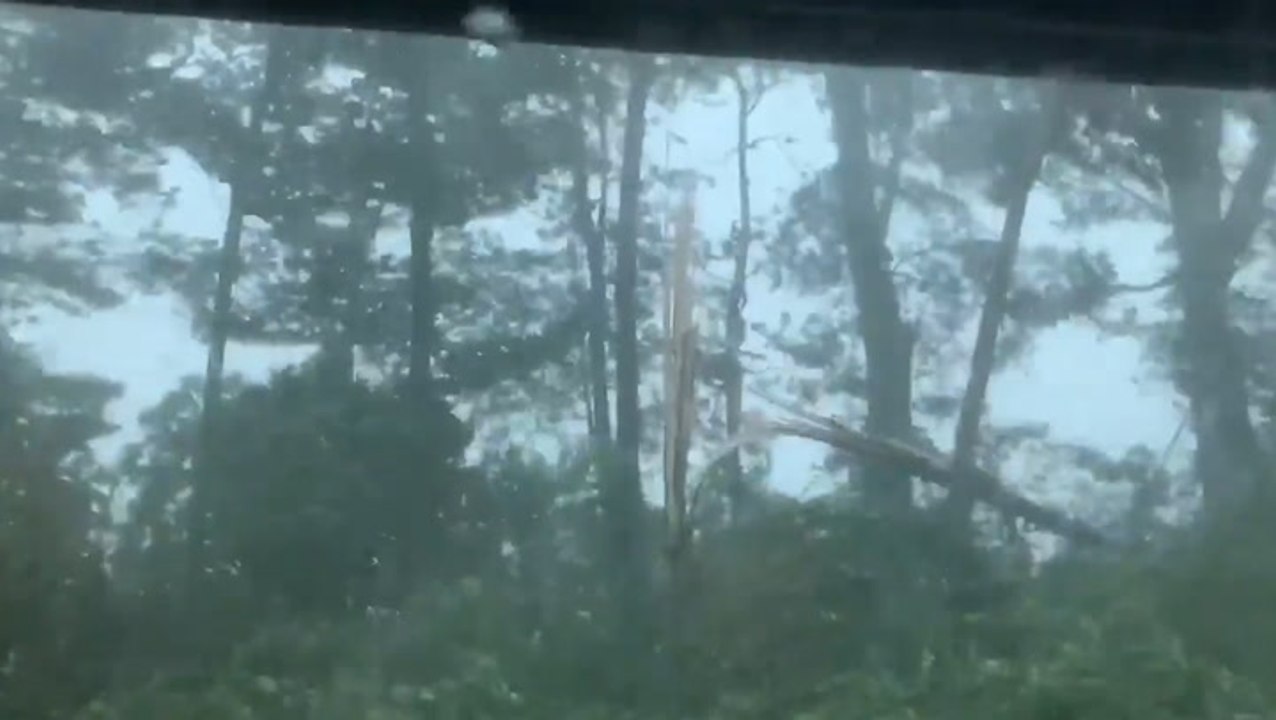 Tree snaps in front of woman during derecho