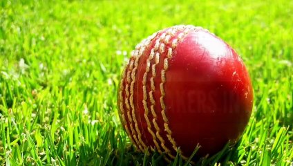 TOP  10 WICKET TAKERS IN ODI  [ONE DAY INTERNATIONAL ] OF ALL  TIME  | ICC | UP TO JULY 2020 | CRICKET