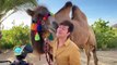 Roger te lleva a un lugar en México donde puedes conocer camellos.| Venga La Alegría