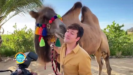 Roger te lleva a un lugar en México donde puedes conocer camellos.| Venga La Alegría