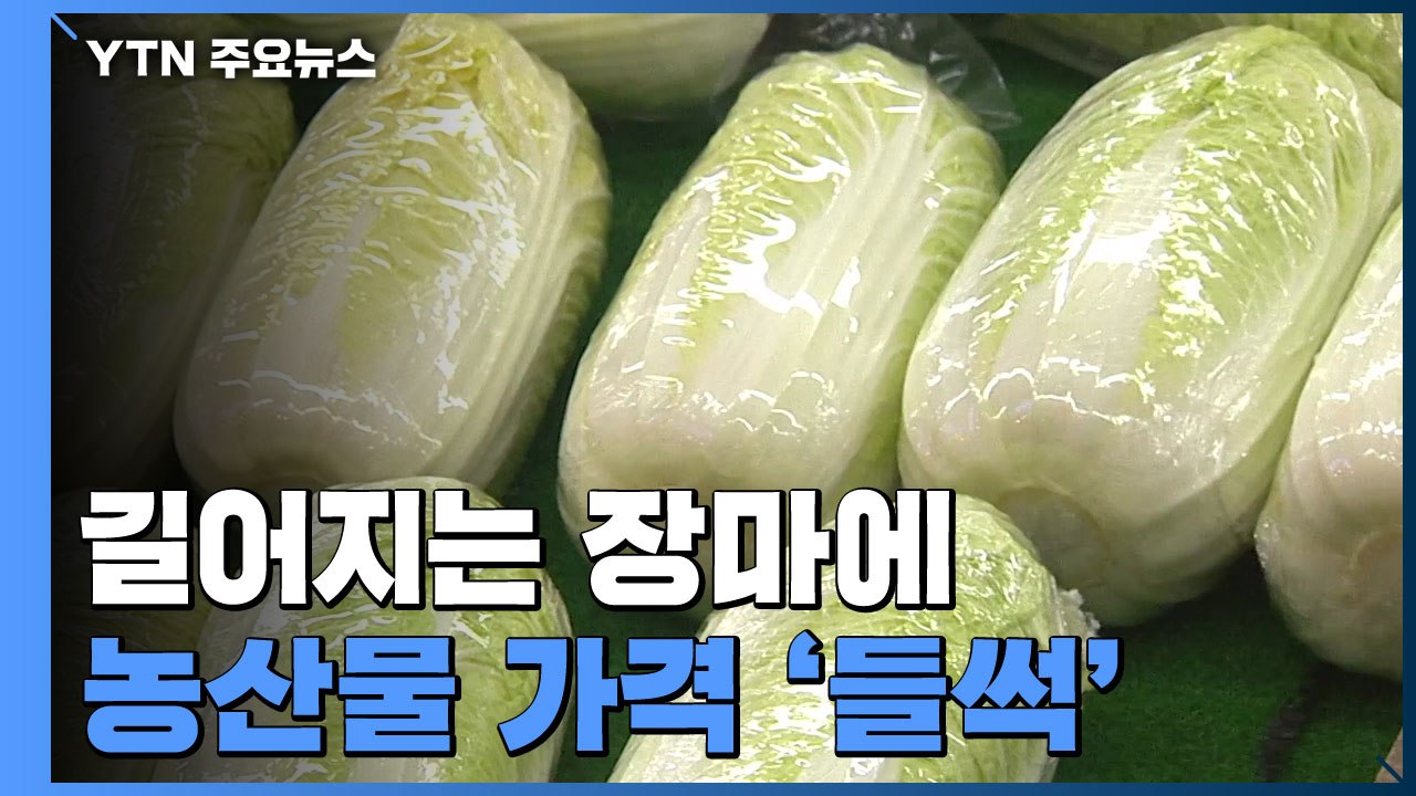 길어지는 장마에 농산물 가격 '들썩' / YTN