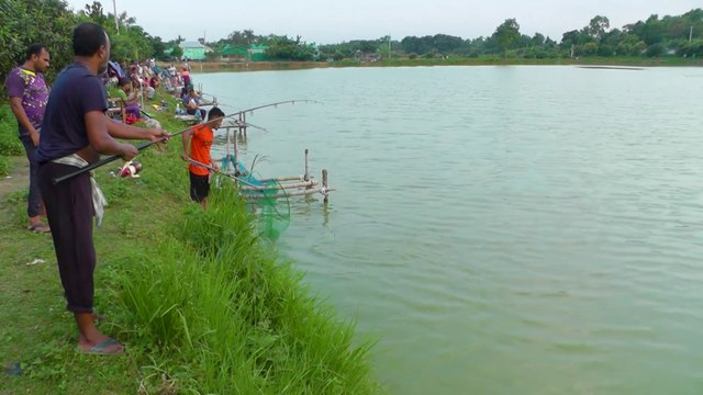 Catla Fishing Videos | Hunting and Fishing | Fish Catching by Using Fishing Rod