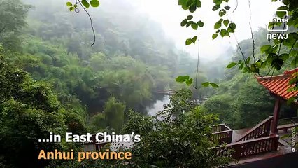 Know about the new tick-borne virus that is spreading in China.