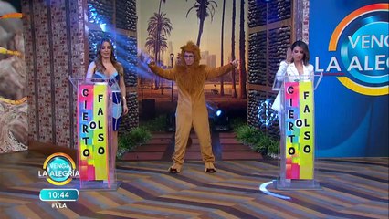 ¡Este Día Mundial del León checa sus mejores datos en el Cierto o Falso! | Venga La Alegría