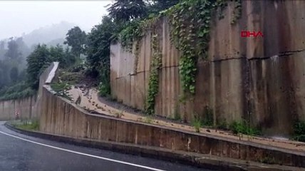 Rize'yi yine sel vurdu!