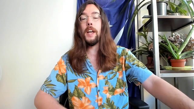 Vehicular Battering Ram of Peace! More Looters of Peace in Chicago