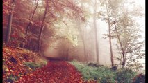 Healing Peaceful Ambient Music For Relaxation, Stress Relief, and A Good  Night Sleep