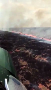 Kenya: Un énorme incendie s’est déclaré dans le plus grand parc national du pays abritant des centaines d’espèces d'animaux - VIDEO