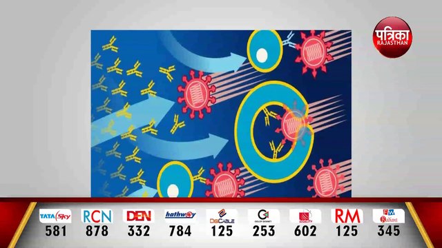 मोटे हैं तो असरदार नहीं होगी कोरोना वैक्सीन | अमरीका की अलबामा यूनिवर्सिटी के शोधकर्ताओं ने आशंका जताई