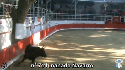 2020 07 27 Navarro n°714