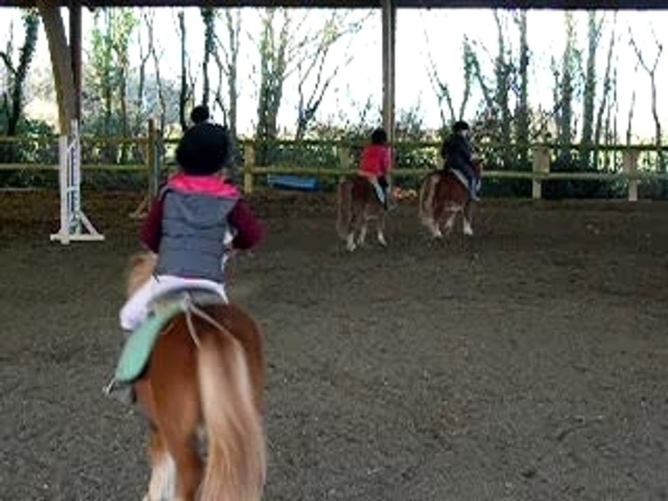 Trot
