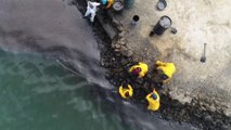 Île Maurice: des volontaires sont toujours mobilisés pour tenter de contenir la marée noire
