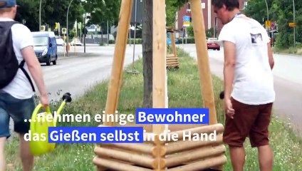 Durstige Stadtbäume: Berliner gießen ihre Kieze