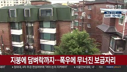 지붕에 담벼락까지…폭우에 무너진 보금자리